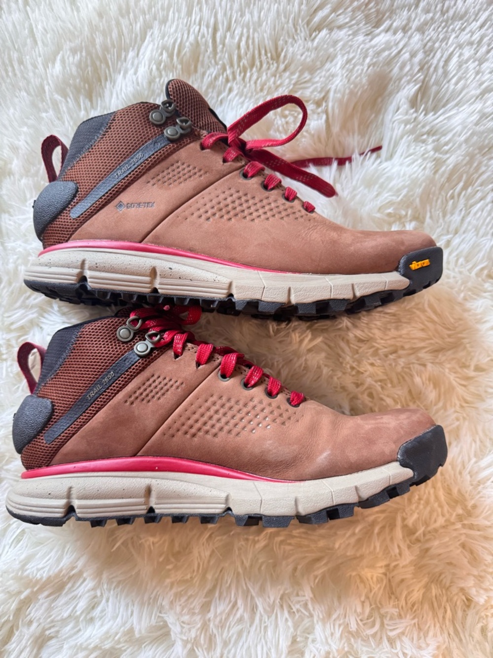 Danner Trail 2650 Mid GTX hiking boots
